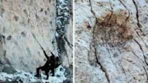 Thousands of dinosaur footprints found on Italian mountain