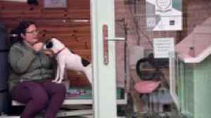 Holistic dog groomer a winner in Paphitis' awards