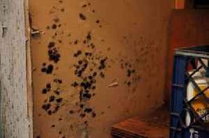 300 households will be recruited in Leicester mould study for tests on children's lung health