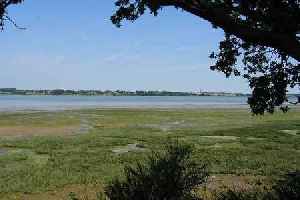 The hidden gem Essex train station that hardly anyone uses but has brilliant commuter links