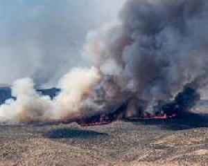 Wildfires spread to 15,000 hectares in Argentine Patagonia