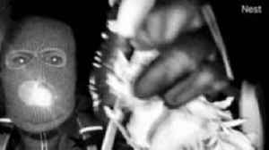 FBI releases images of masked man in hunt for Savannah Guthrie's mother