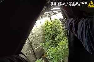 Police uncover hidden drug farm in 'dilapidated' Southend flat