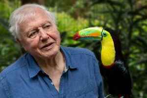 BBC announces week-long celebration to mark David Attenborough's 100th birthday