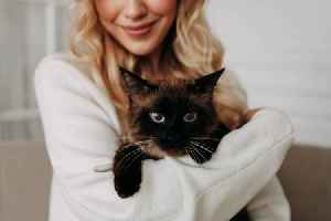 Cat behaviourist claims your pet purring doesn't always mean it's happy