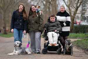 Meet the canine heroes competing for the Crufts 2026 Hero Dog title