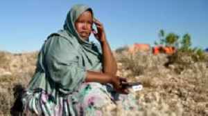 'We will go wherever they hide': Rooting out IS in Somalia