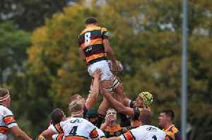Sport | WRAP | Schoolboy rugby: Wildeklawer Festival - Fixtures, results