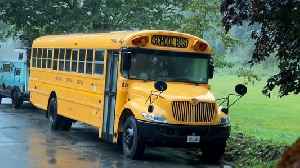 This DIY Bus Conversion Is a Cozy Home on Wheels for Adventures in the British Countryside