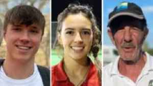 Psychiatrist 'did not view' killer's earlier incidents