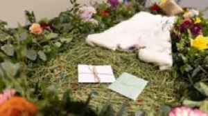 TV presenter hopes to offer UK's first human body composting service