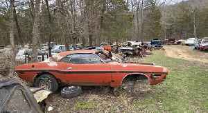 Massive Mopar Yard in Missouri Is Loaded With Golden-Era Muscle Cars