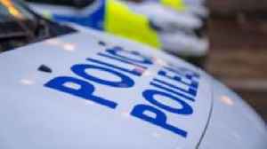 Pedestrian, 91, dies in hospital after car crash