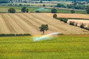 11 counties will miss out on first UK mini-heatwave of year - full list