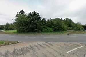 Elderly couple die in hospital after lorry crash in Peterborough