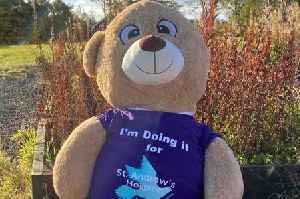 Schools can join St Andrew’s Hospice’s Teddy Bear's Adventure fundraiser
