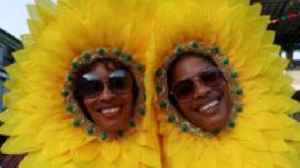 Carnival fever hits Lagos as locals celebrate Afro-Brazilian heritage