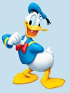 When The Cops Ask For Your Name, Do Not Reply 