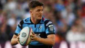 Wales fly-half Sheedy signs new Cardiff contract