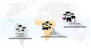 We’re still recovering from losing the woolly mammoth