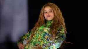 Huge crowd attends free Shakira Copacabana beach concert