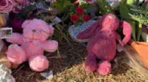 Child protection workers stood down after alleged murder of Australian child