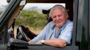How Sir David Attenborough built 'Green Hollywood'