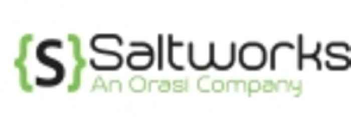 Saltworks, Bit Discovery Partner to Advance Attack Surface Management