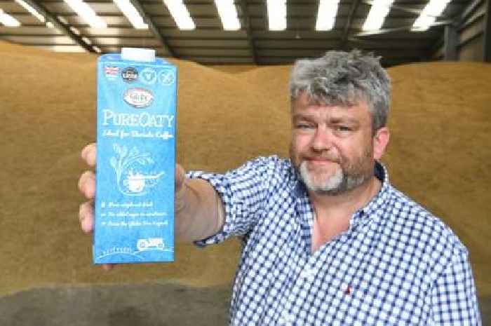 PureOaty v Oatly: Cambs family farmers win legal battle with oat milk giants