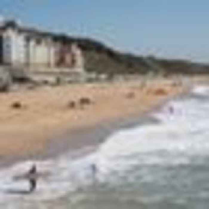 Bournemouth beach evacuated after 'large marine animal' spotted in water