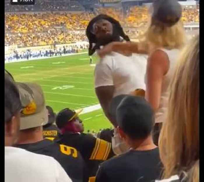 Steelers Fan Beats Man, Punches Woman After Getting Slapped Across the Face at NFL Preseason Game