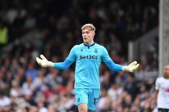 Bursik the real deal and Plan B needed - five things Stoke City learned from Fulham defeat