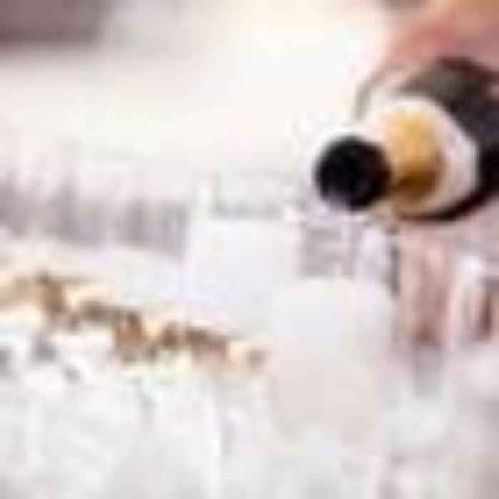 Are they having a bubble? Italy moves to block Croatia as Prosecco row fizzes over