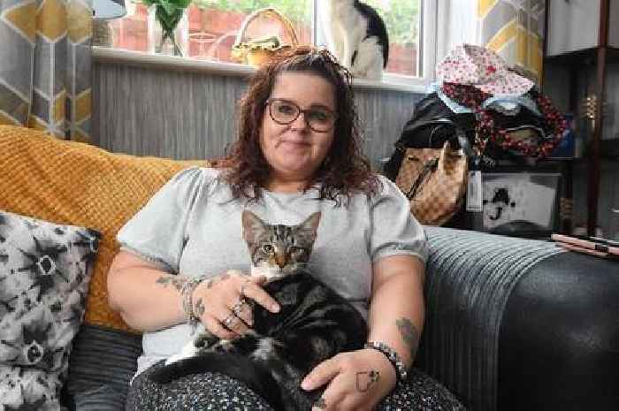 'Selfish' or 'you can never own too many cats'? - Divisions form as mum threatened with £1.5k fine over 11 cats