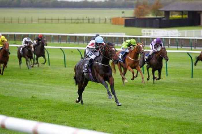 Ayr Gold Cup tips as Just Frank can make a bold bid for glory