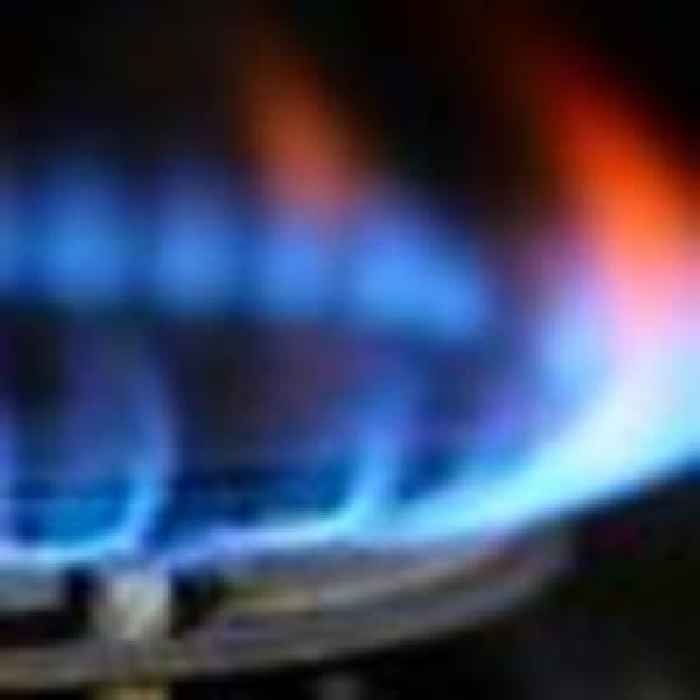 Fears continue over future of energy firms as minister insists price cap must 'remain in place'