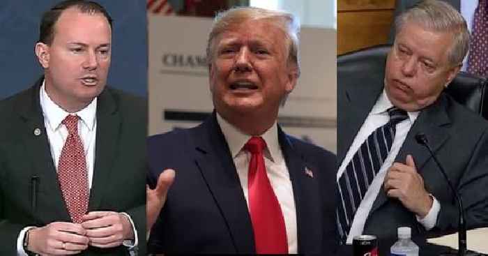 Trump Blasts Lindsey Graham and Mike Lee: ‘Should Be Ashamed’ For Ignoring ‘Crime of the Century’
