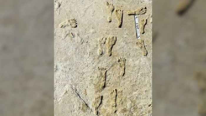 Oldest Human Footprints In North America Found In New Mexico
