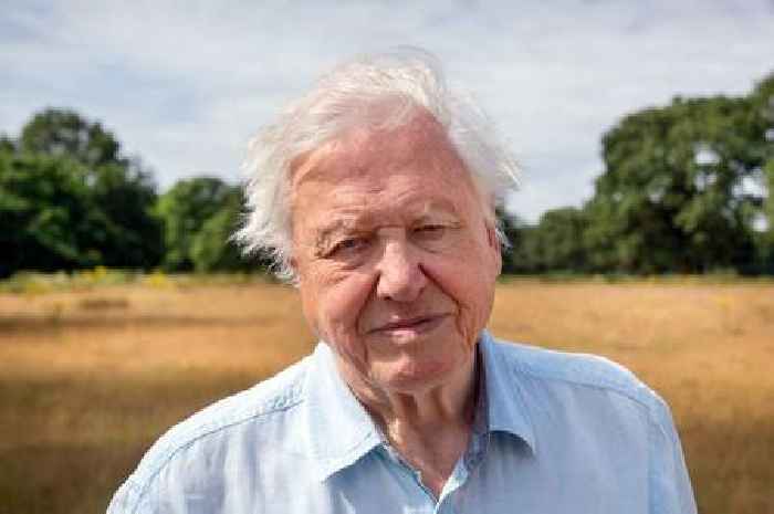 Sir David Attenborough to star alongside Prince William in new show looking to save the world