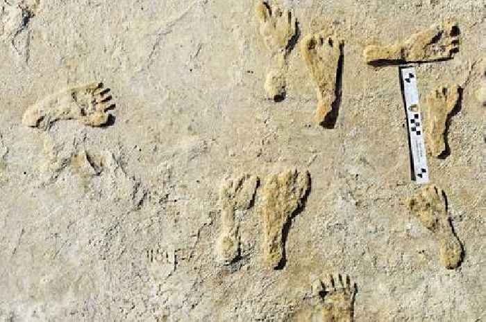 Fossil footprints suggest humans walked in America 23,000 years ago