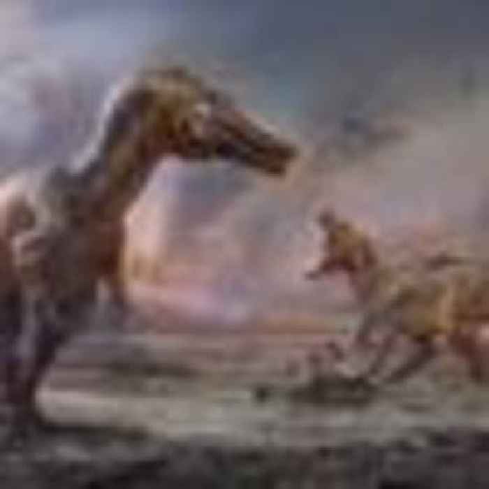 Two new species of dinosaur discovered on Isle of Wight