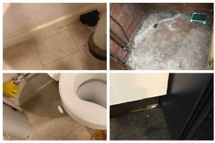 Birmingham mum living with the 'stench of death' due to dead rats trapped in her kitchen wall