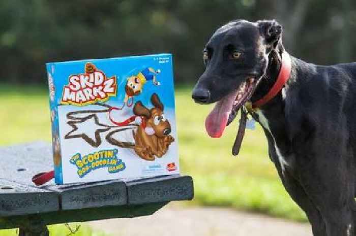 Skid Markz - furious parents slam 'disgusting' board game where kids draw using dog poo