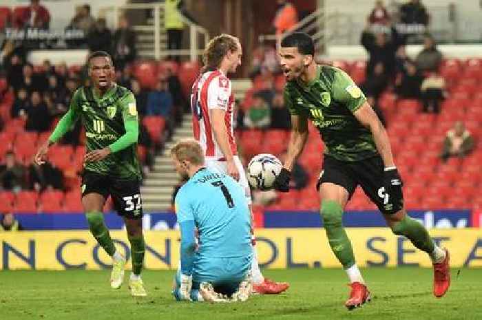 Stoke City player ratings as Ben Wilmot caught by vicious Dominic Solanke challenge