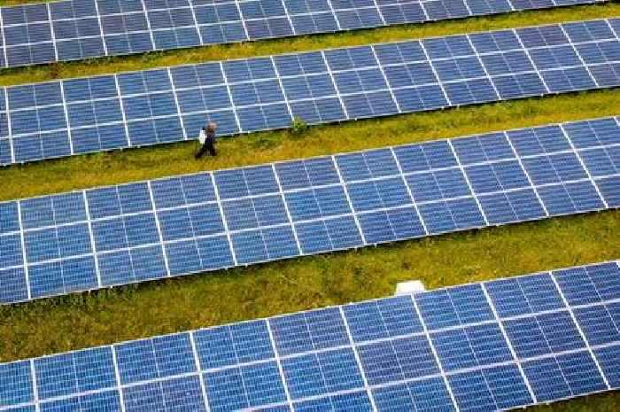 Top green energy suppliers revealed