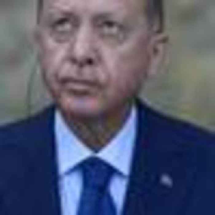 Turkish President orders removal of 10 ambassadors, including NZ representative