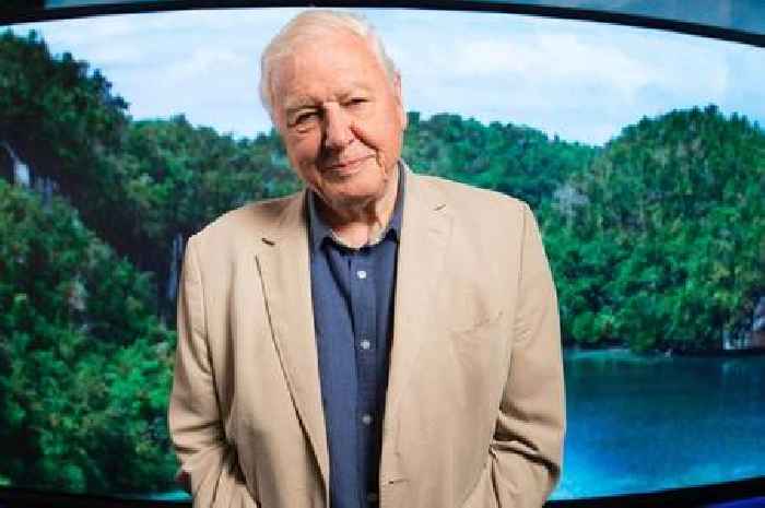 David Attenborough's stark 'act now or it's too late' warning to world leaders on climate crisis