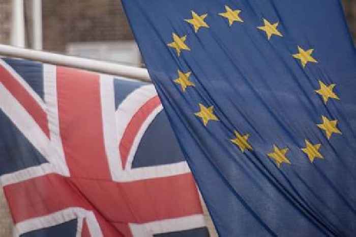 Brexit's impact on economy to be worse than pandemic - watchdog