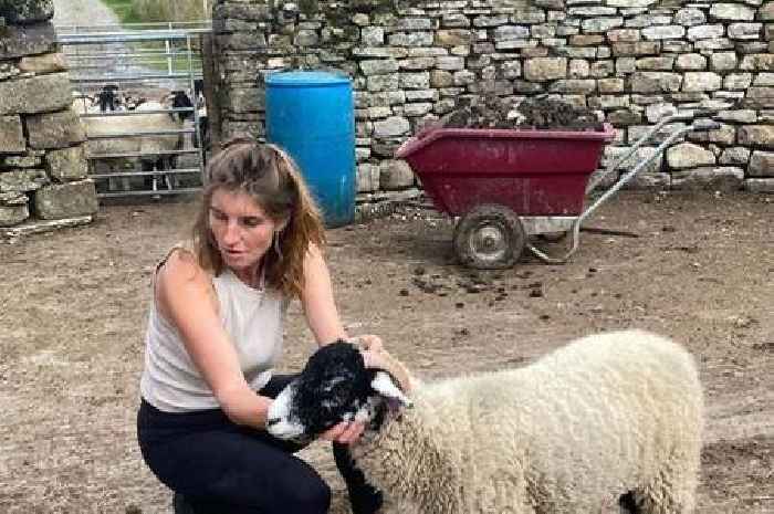 Our Yorkshire Farm Amanda Owen's bargain hunting tricks despite six-figure salary