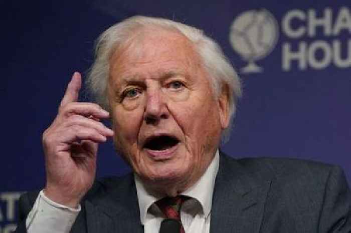 Sir David Attenborough's call to arms against climate change at Cop26 summit